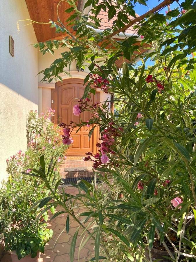 Fodor Haz Daire Gyenesdiás Dış mekan fotoğraf